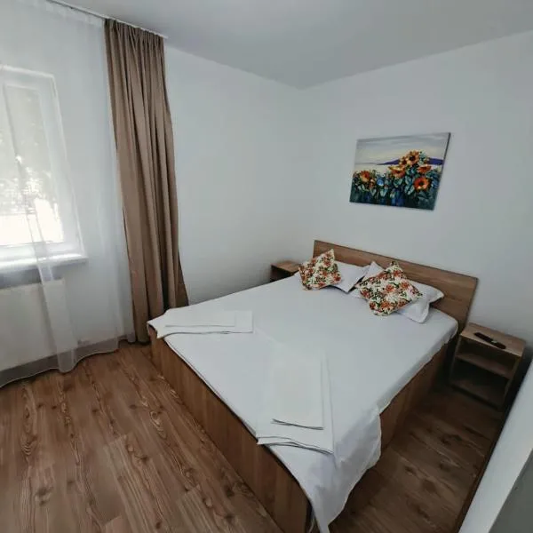 Codruta Home，位于拉姆尼库沃尔恰的酒店