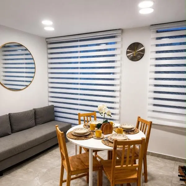 Apartamento central Moderno de lujo y con piscina，位于比亚维森西奥的酒店