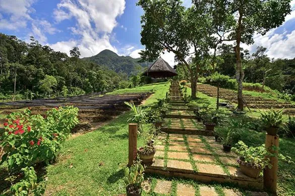 Sheridan Organic Farm and Resort，位于Puerto Princesa的酒店