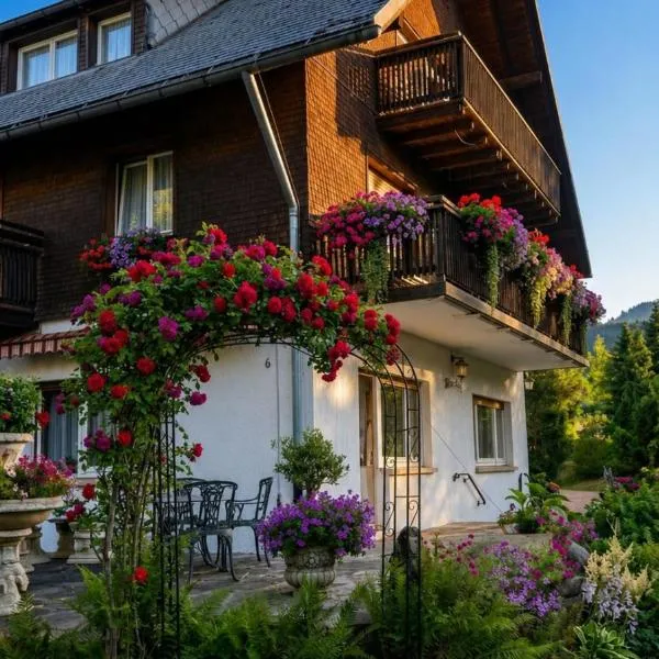 NATURION Hotel Hinterzarten，位于欣特察尔滕的酒店