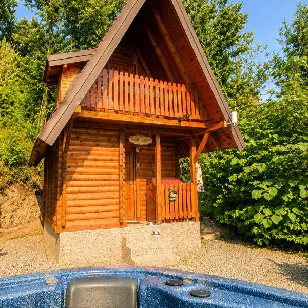 Seoski Turizam Feniks - apartman Ostrog & đakuzi na otvorenom，位于Kosjerić的酒店