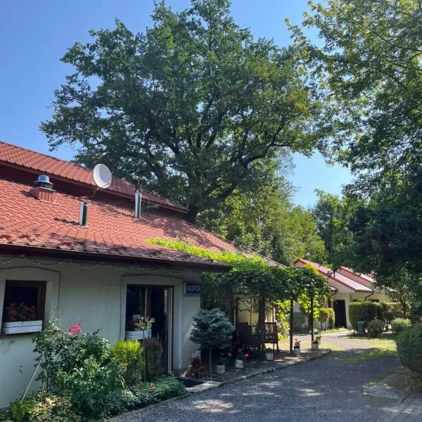Noclegi Pod Dębem u Jakuba,位于涅波沃米采的酒店