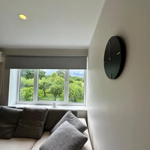 Laitselossi tee Apartment，位于Laitse的酒店