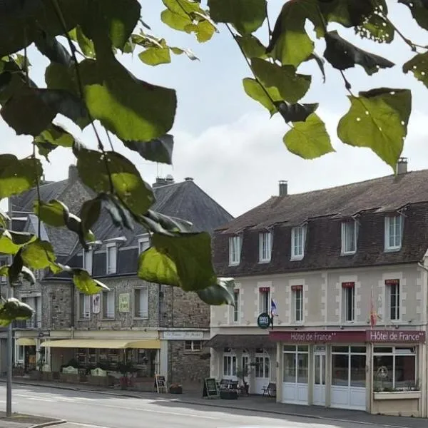 Logis Hôtel De France- Restaurant GRILL，位于栋弗龙的酒店
