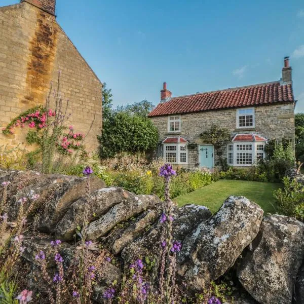 Bute Cottage，位于皮克林的酒店