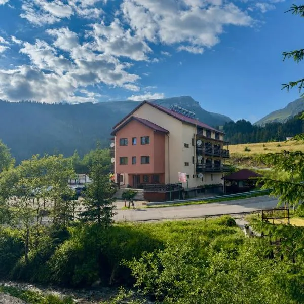 Pensiunea Turistică Octavian，位于莫罗埃尼的酒店