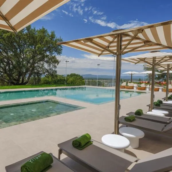 Meliá Castelo Branco，位于布朗库堡的酒店