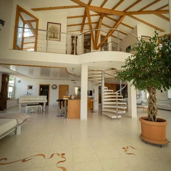 280m2 Luxus Loft Atrium-X 60m2 Terrasse，位于Rorbas的酒店