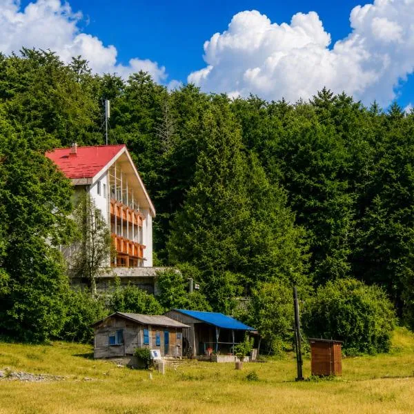 Great Mountain B&B Platak，位于Platak的酒店