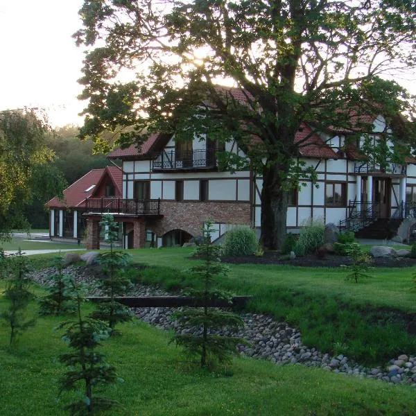 Jūrvingė，位于Žadvainai的酒店