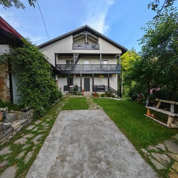Casa Piatra Corbului，位于Gura Teghii的酒店