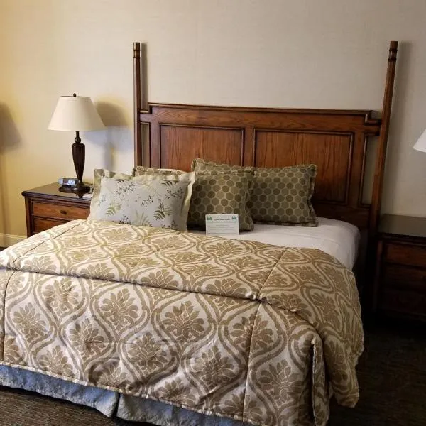 切尔西酒店，位于旧金山的酒店