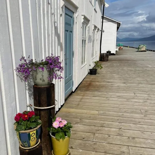 2. etg i Dampskipsbrygga, Lødingen havn，位于勒丁恩的酒店