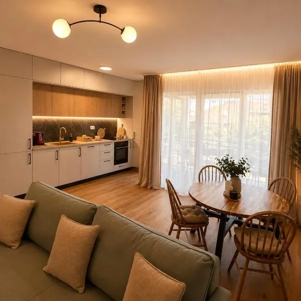 Luxury Apartment II -City Center- Free Parking，位于蒂米什瓦拉的酒店