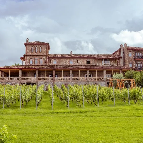 Schuchmann Wines Château,Villas & SPA,位于泰拉维的酒店