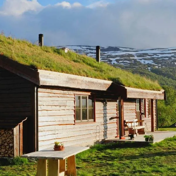Cabin Huskyfarm Innset，位于Innset的酒店