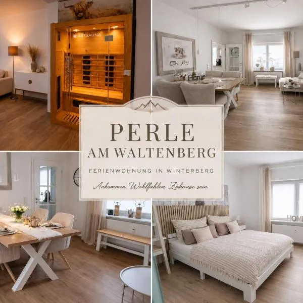 Perle am Waltenberg, 85 qm Ferienwohnung, Sauna, zwei Wohnungen in einer!，位于温特贝格的酒店
