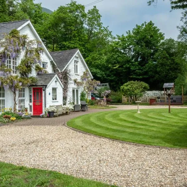 Ty Derw B & B，位于迪纳斯马维的酒店