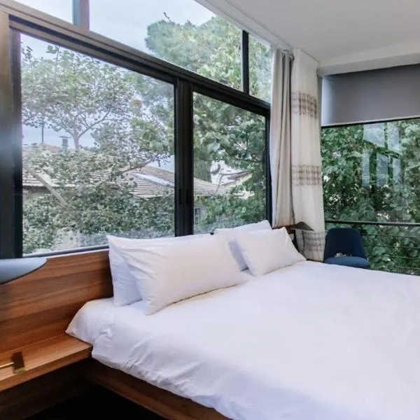Domus Carmel Hotel,位于海法的酒店