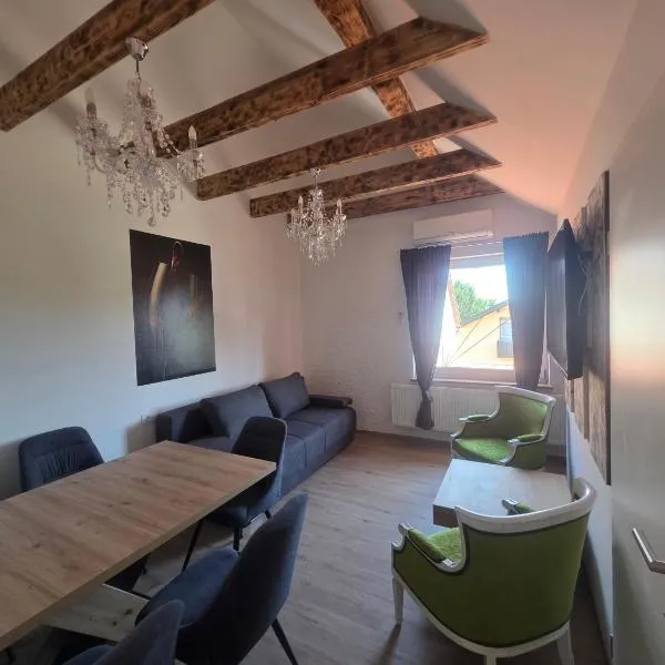 Apartmaji Picasso Design，位于维尔兹的酒店