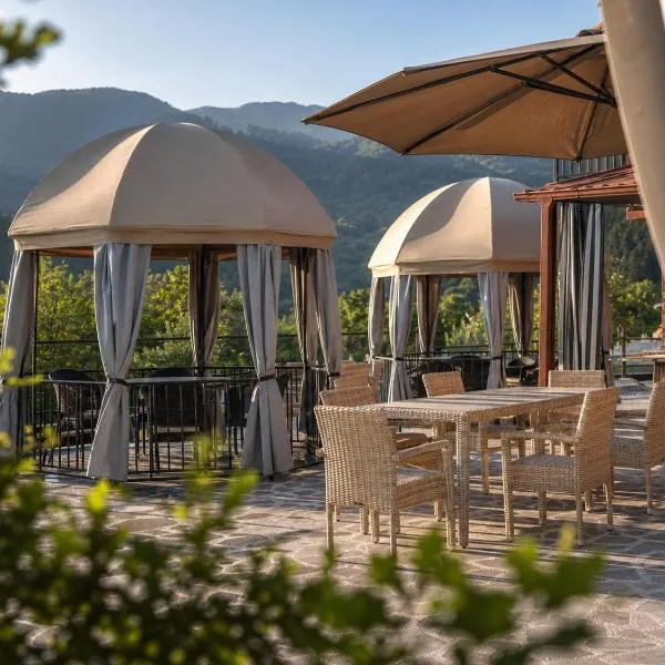 Pesvebi Design Hotel and Cellar,位于博尔若米的酒店