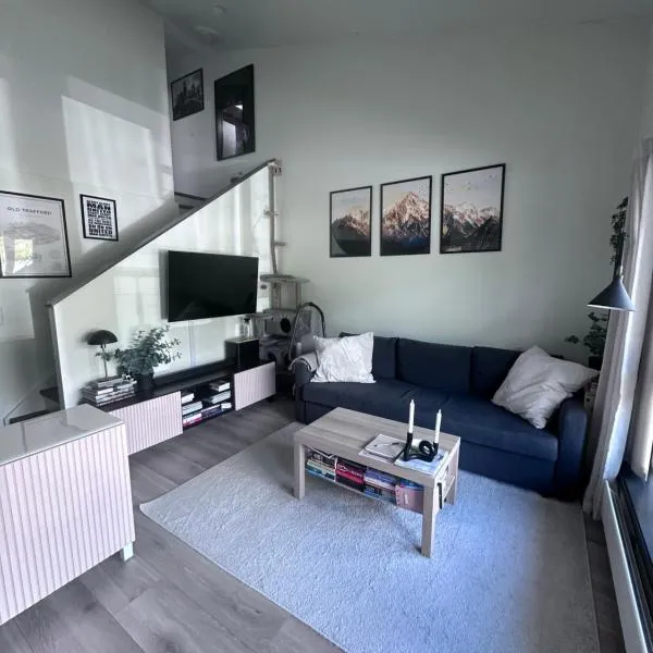 Small apartment in the middle of Gol city center，位于高尔的酒店