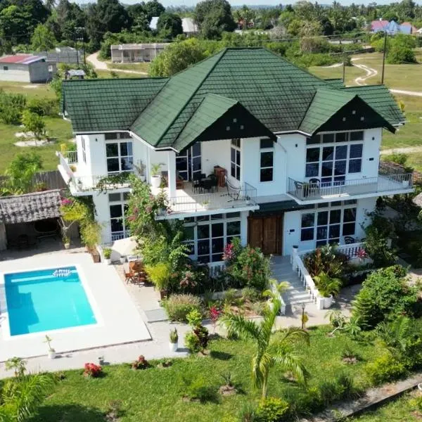 Maneri Villa and Apartments，位于桑给巴尔的酒店