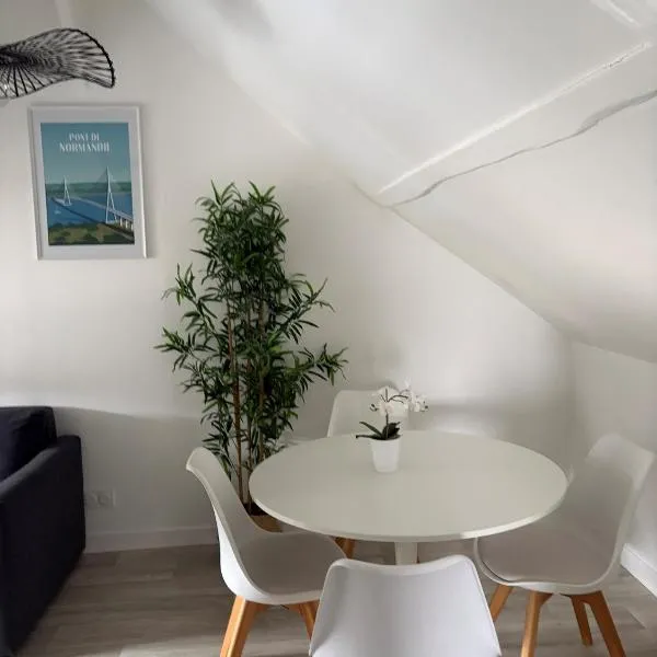appartement centre ville LILLEBONNE 2eme etage,位于Lillebonne的酒店
