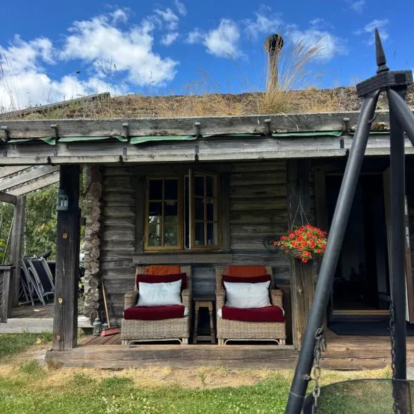 Norwegian Idyll - Authentic stay in a Log Cabin，位于Krøderen的酒店