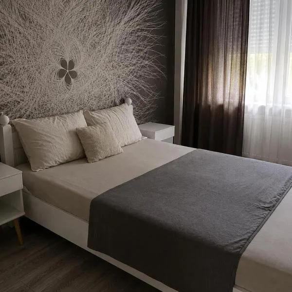 Spacious apartment with a beautiful view，位于Căuşeni的酒店