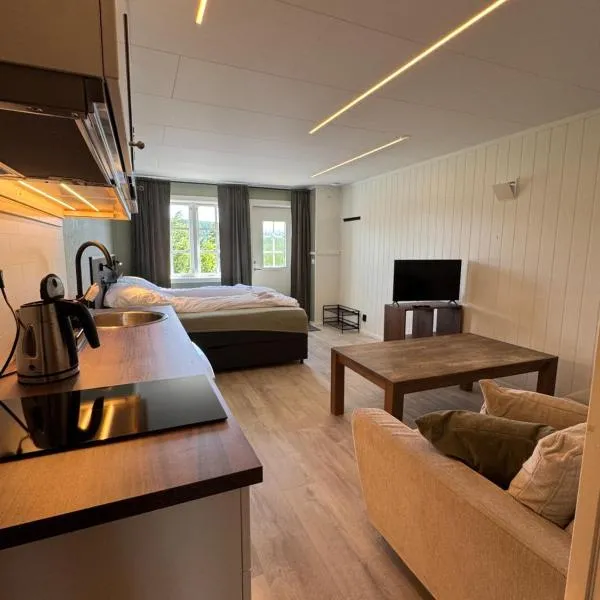 Cozy mini-apartment with kitchen，位于Åmot的酒店