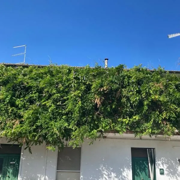La casa di Fedio e Renza in Maremma, a 10min dal mare，位于卡斯蒂里昂纳·德拉佩的酒店