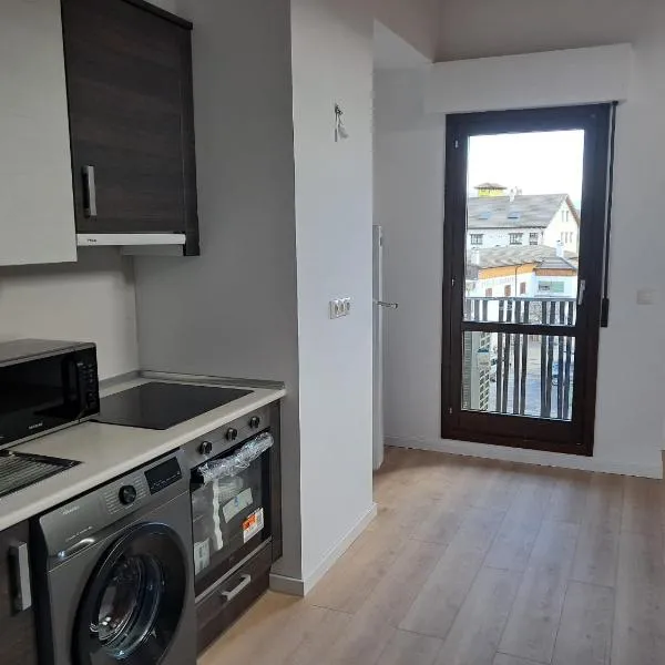 Apartamentos turisticos Puente la Reina de Jaca，位于蓬特拉雷纳德哈卡的酒店