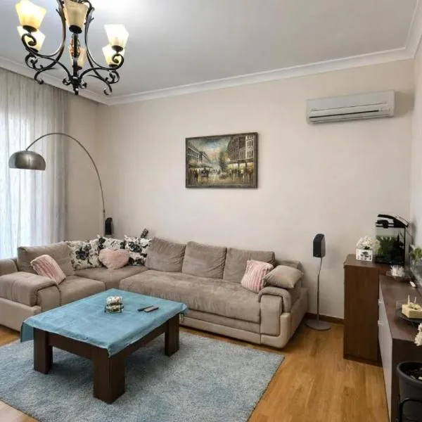 nearby Airport Apartment，位于Bina的酒店