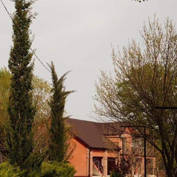 Iora Winery，位于Sagarejo的酒店