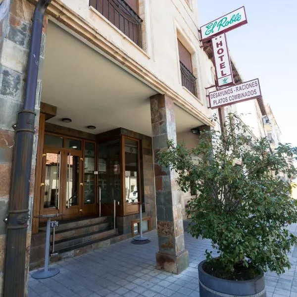 埃尔罗比酒店，位于皮苏埃加河畔萨利纳斯的酒店