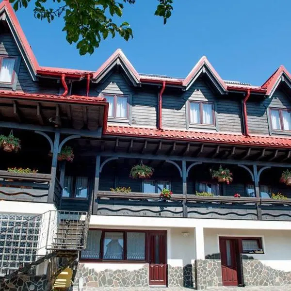 Pensiune Borsa，位于Băile Borşa的酒店