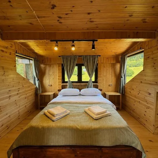 Chalet Hatsvali - Ushba Viewpoint Rooms & Café，位于梅斯蒂亚的酒店