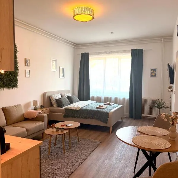Apartments Chloe - Top 4，位于Hollabrunn的酒店