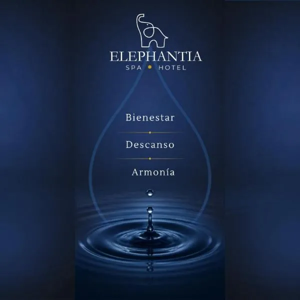 Elephantia Spa Hotel，位于莱瓦镇的酒店