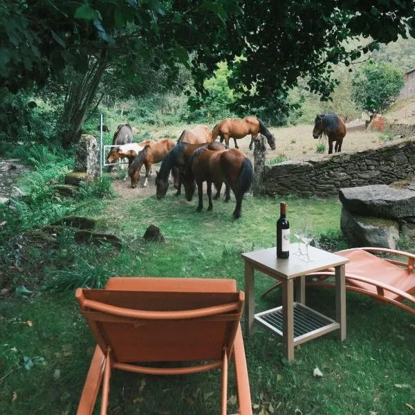 Casa Grande de Covas-Rural Boutique & Agroturismo en la Ribeira Sacra，位于Taboada的酒店