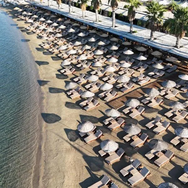 Ambrosia Hotel Beach & Spa，位于比泰兹的酒店