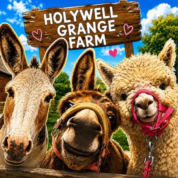 Holywell Grange Farm,位于惠特利湾的酒店