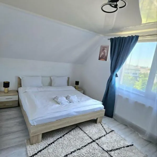 Cozy SoRaDa 3 apartment，位于Bragadiru的酒店
