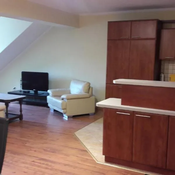 Apartamenty Sokółka，位于索库乌卡的酒店