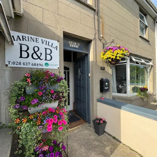Marine Villa B&B，位于安纳隆的酒店