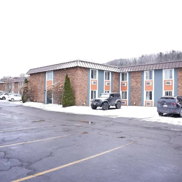 Kiteville Owego,位于Owego的酒店