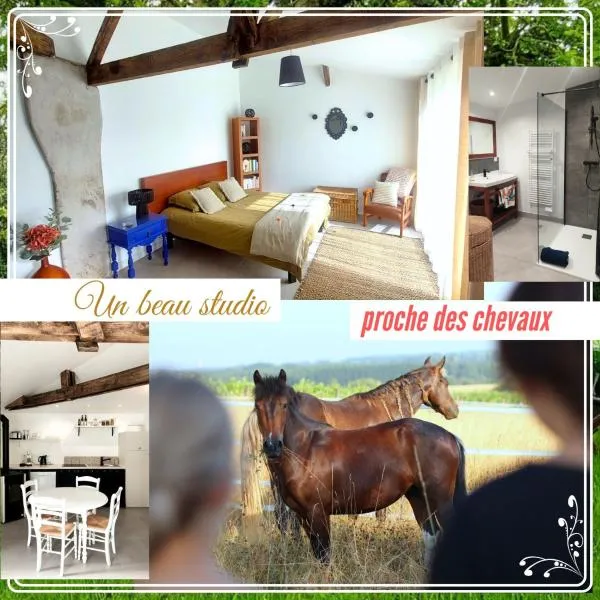 Studio du domaine équestre B & G,位于Saint-Médard的酒店
