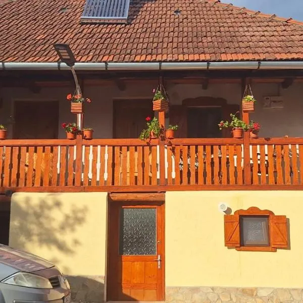 Căsuța cu cerdac，位于Nădăştia de Sus的酒店