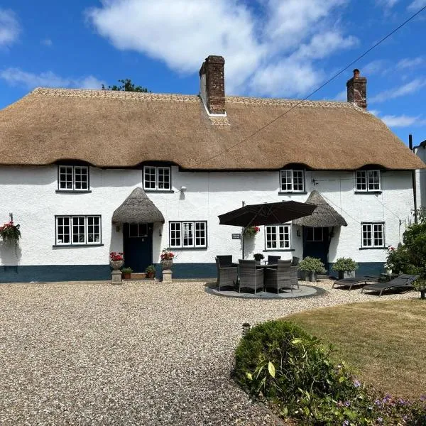 Cotford Cottage,位于锡德茅斯的酒店